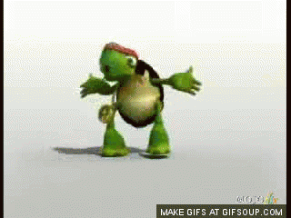 dancing turtle